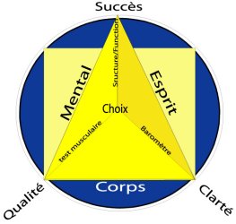 3in1 concepts Quest ce que le 3in1 concepts / concepts 3 en 1